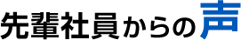 先輩社員からの声